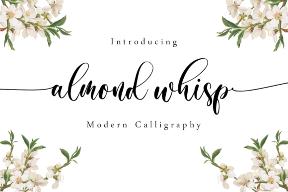 Almond Whisp: The Elegant Script Font for Branding