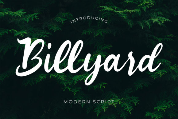 Billyard: A Premium Handwritten Font for Modern Web Design