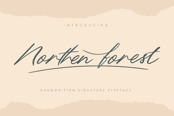 Northern Forest: A Real-World Designer Review