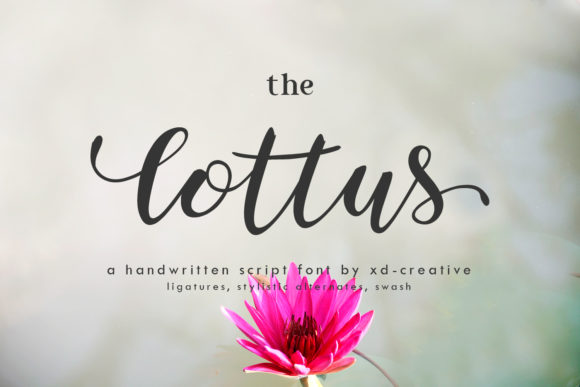 The Lottus: A Handwritten Font for Campaign Clarity